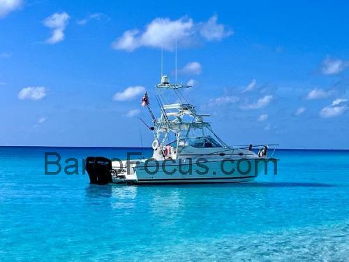 Stamas 320 Express avaliação e ficha técnica